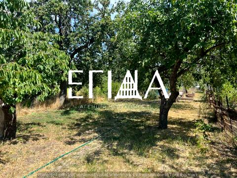 дом по адресу Куропятникова ул., 41