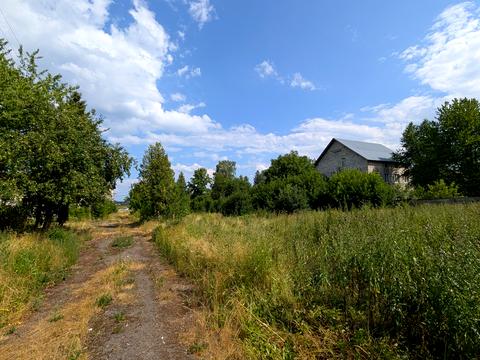 комерційна за адресою Шевченка, 5