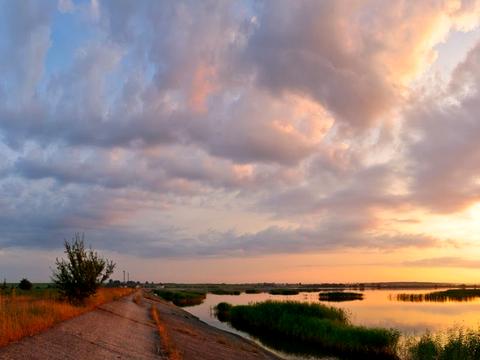 ділянка за адресою с. Гамаліївка, Грушевського