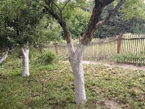 участок по адресу Молодіжна ул.