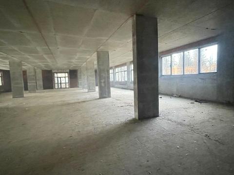 комерційна за адресою Васильківська вул., 37