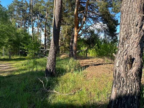 участок по адресу Луговая ул., 30