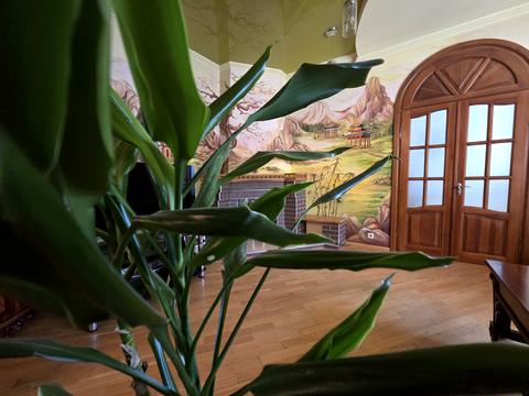 квартира за адресою Короленка, 6