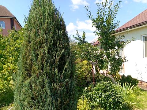 будинок за адресою Центральна вул. (Пролетарська), 79/80