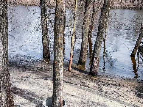 дом по адресу с. Осещина, Центральна
