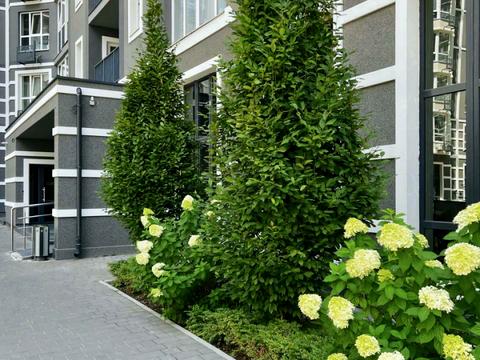 квартира за адресою Лесі Українки вул., 3