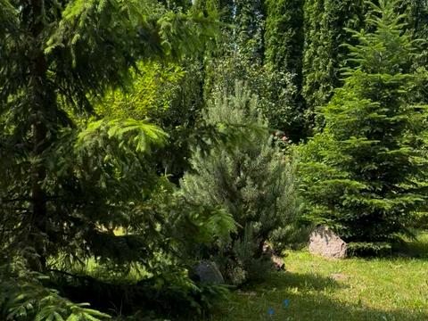 будинок за адресою Садова, 99