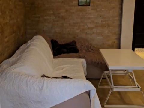 квартира за адресою Райдужний масив вул., 5