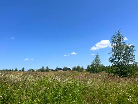 ділянка за адресою с. Лісові Гринівці, 