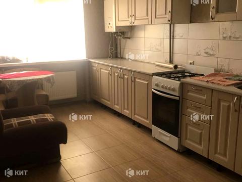 квартира по адресу Мирная ул., 19