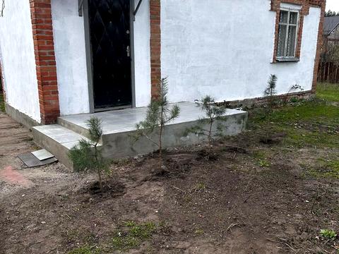 дом по адресу Лісна