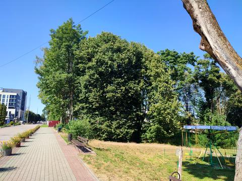 участок по адресу Івана Франка ул.