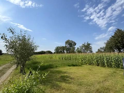 ділянка за адресою Шевченка вул., 8