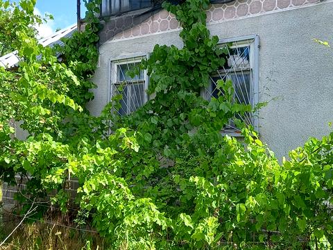 будинок за адресою медова