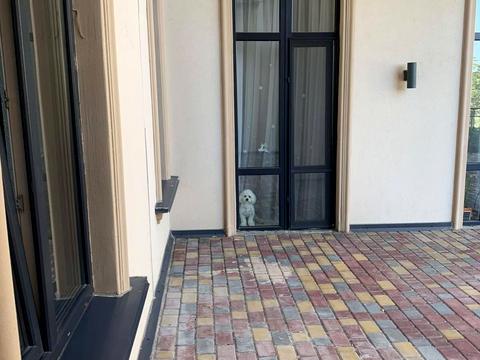 квартира по адресу Гоголя, 2