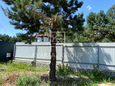 ділянка за адресою с. Пилиповичі, 