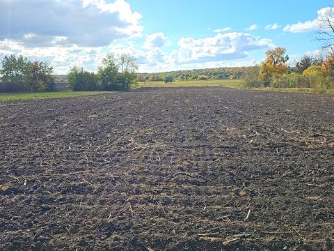 будинок за адресою с. Плужники, Червоноармійська