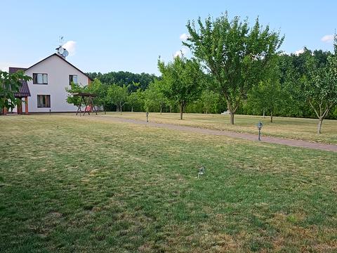 дом по адресу Бакумівка