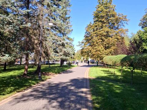 квартира за адресою Гетьмана Мазепи вул., 157