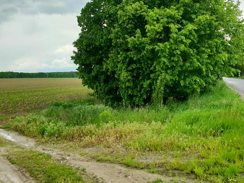 ділянка за адресою ааа