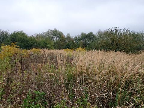 ділянка за адресою Під греблею