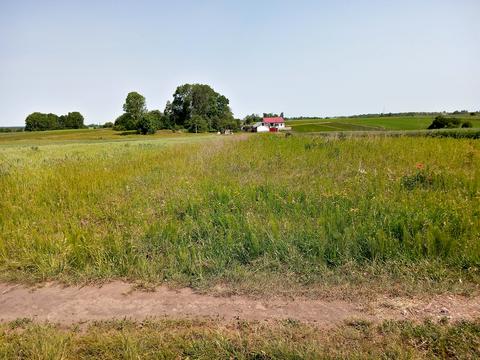 участок по адресу Нове село