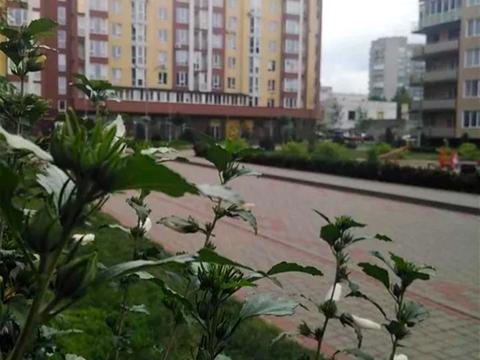 квартира по адресу Івана Сльоти ул., 49
