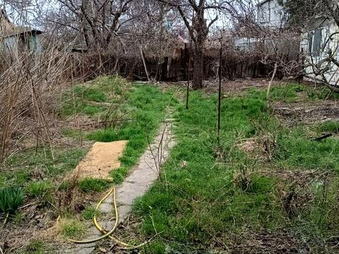 дом по адресу Толбухина ул. (Толбухина)