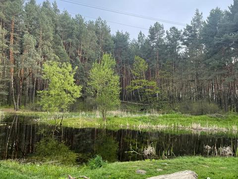 дом по адресу Львов, дачна, 55