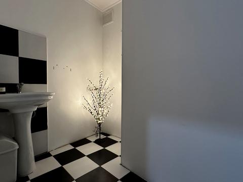 комерційна за адресою Заньковецької вул., 10