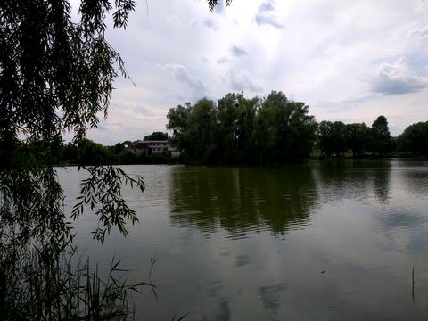 участок по адресу Южная ул., 1
