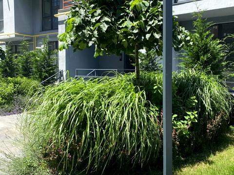 квартира за адресою Марсельська вул., 33в