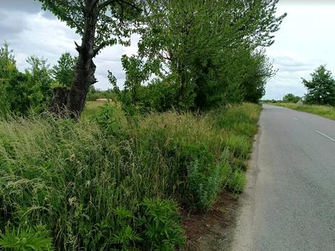 ділянка за адресою Пушкіна