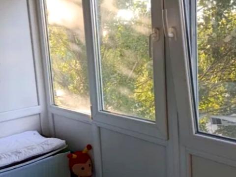 квартира за адресою Кам'янське (Дніпродзержинськ), Сержанта Коновалова вул., 2/36