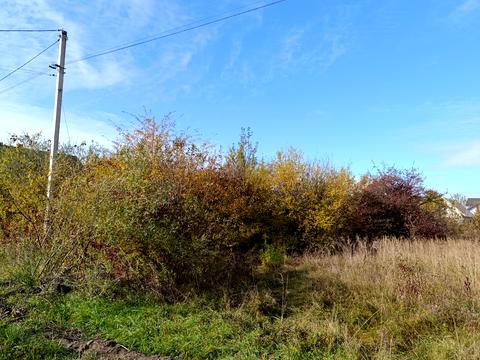 ділянка за адресою Сонячна