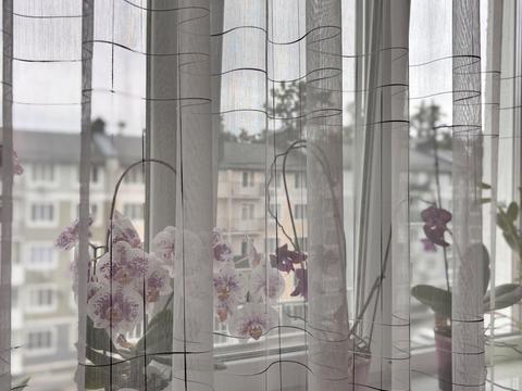 квартира за адресою Білокур вул. (Курська), 3в