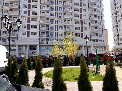 квартира за адресою Михайла Максимовича вул. (Онуфрія Трутенка), 24-Б