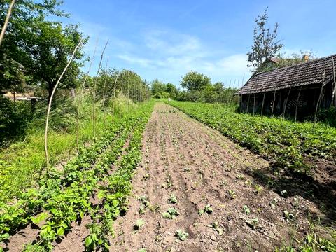будинок за адресою Вулиця без Назви