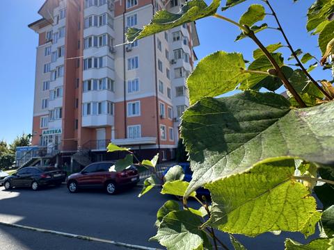 комерційна за адресою Бориса Гмирі вул., 2