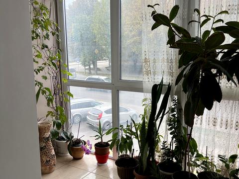 квартира за адресою Ковельська вул., 29