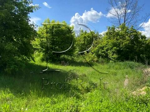 ділянка за адресою с. Дзвінкове, вул. Шевченка