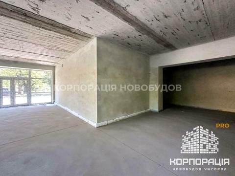 коммерческая по адресу Капушанская ул., 170