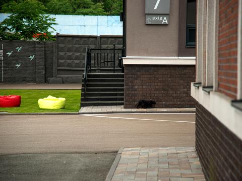 коммерческая по адресу Елены Телиги ул., 6