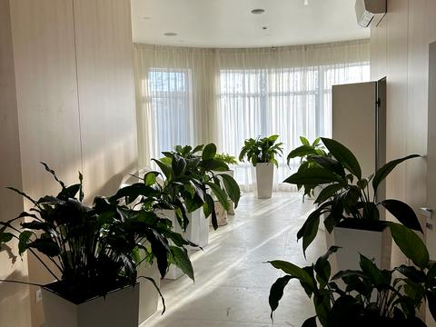 комерційна за адресою Київська вул., 107б