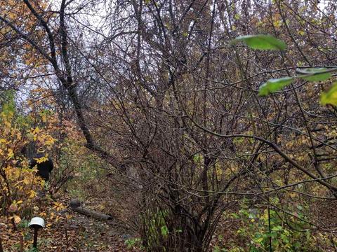 участок по адресу Товарная ул., 53