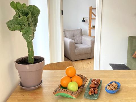 квартира по адресу Константиновская ул., 20/14