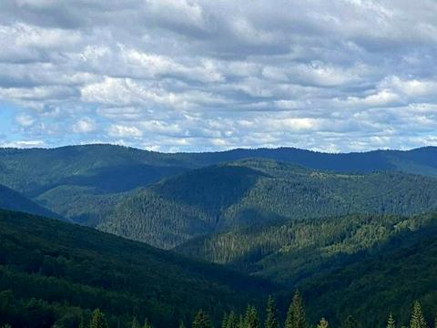 участок по адресу с. Микуличин, Трисянка