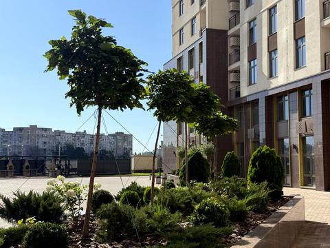 комерційна за адресою Краснова вул., 3