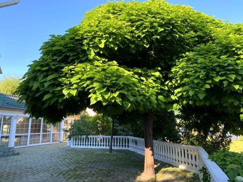 будинок за адресою Старокиївська вул.