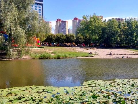 квартира за адресою Юлії Здановської вул. (Ломоносова), 85-Б
